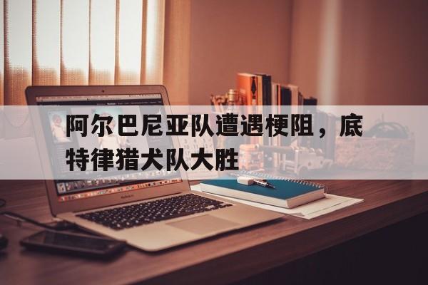 阿尔巴尼亚队遭遇梗阻，底特律猎犬队大胜的简单介绍